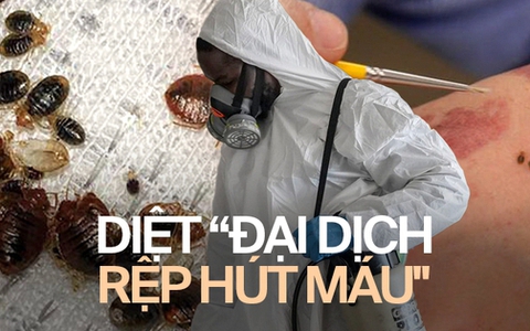 Chuyên viên kể chuyện đối phó "đại dịch hút máu" tại Paris: Nửa đêm khách gọi đòi nhân viên đến diệt rệp, một dịch vụ lên tới chục triệu đồng