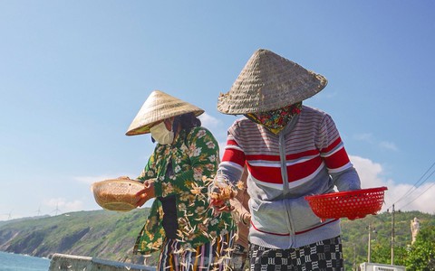 Ngư dân Bình Định hưởng 'lộc biển' cuối năm