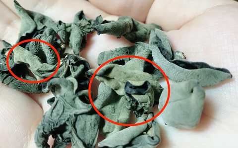 Khi mua mộc nhĩ bạn hãy nhớ “4 điều không nên” để dễ dàng chọn được loại chất lượng, tránh lãng phí tiền bạc