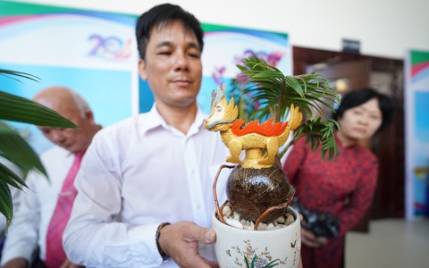 TPHCM: Độc đáo bonsai dừa ở Bình Chánh