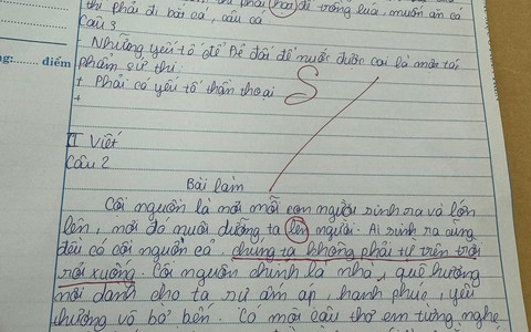 Bài kiểm tra Ngữ Văn khiến giáo viên “áp lực”, nhưng dân tình tranh cãi 1 chi tiết: Cóc hay cáo mới đúng? 