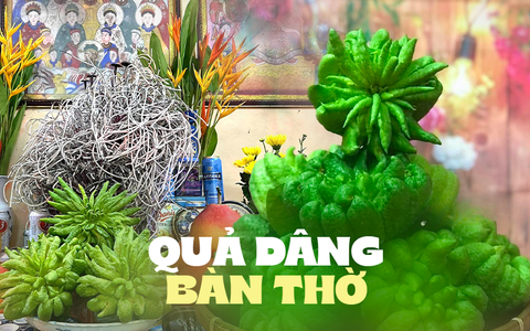 Lý do đặc biệt khiến nhiều người bày phật thủ trên bàn thờ ngày Tết