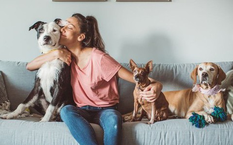 Bác sĩ nói về thói quen ôm hôn chó mèo của người trẻ: Cẩn thận các bệnh ký sinh trùng nguy hiểm!