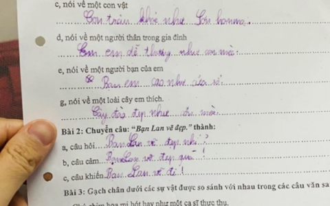 "Sang chấn" với bài tập tiếng Việt của học sinh lớp 3: Chú gà trống ngáy to như con lợn, nhưng đến đoạn tả cây đào mới cười ná thở