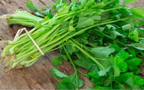 Đừng vội ném cọng rau mùi bởi nó mang đến rất nhiều lợi ích cho sức khỏe