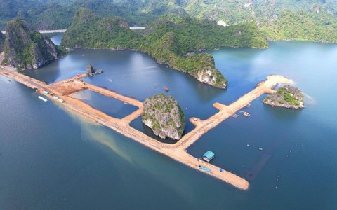 Thông tin mới vụ lấp vùng đệm vịnh Hạ Long làm biệt thự, nhà liền kề