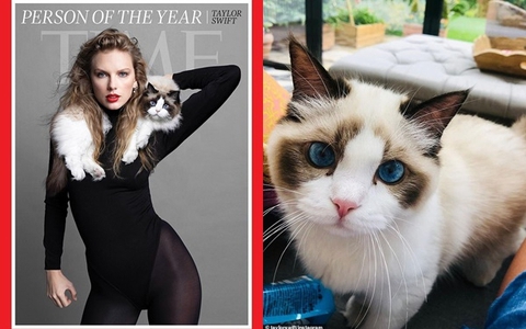 Mèo cưng mắt xanh "quý hơn vàng" của Taylor Swift mới xuất hiện sang trọng trên bìa tạp chí cùng chủ nhân, có giá trị ước tính 2.400 tỷ VNĐ