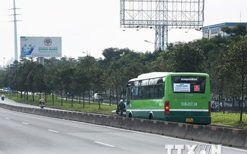 TPHCM: Xử phạt ba người đi bộ không đúng quy định