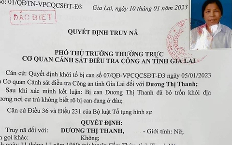 Bắt cụ bà 73 tuổi vay 14 tỉ đồng rồi bỏ trốn
