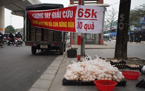 Sự thật chuyện "giải cứu trứng gà 65.000 đồng 30 quả" tràn lan trên vỉa hè Hà Nội