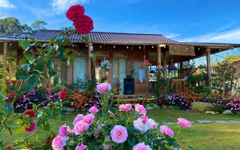 Ngôi nhà gỗ 40m² đẹp như cổ tích giữa hoa cỏ và mây trời ở Lâm Đồng