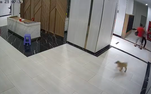 Đưa người đàn ông bị đánh vì xua chó ở chung cư đi giám định thương tích
