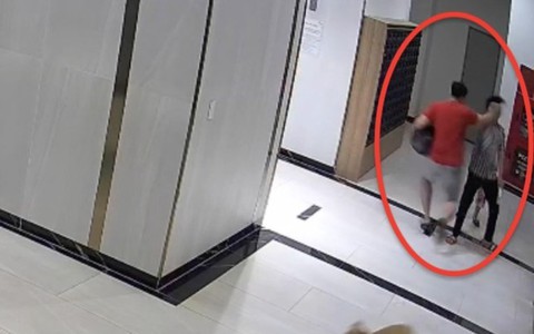 Chủ chó thả rông, đánh người gây thương tích ở TP HCM sẽ bị xử lý thế nào?