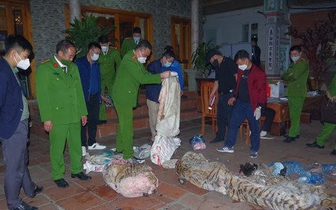 Nấu cao hổ, chủ tịch xã lĩnh án 3 năm tù giam