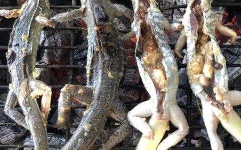 Đặc sản Bình Thuận được làm từ "vua của sa mạc", nhìn thì sợ nhưng ăn là ghiền