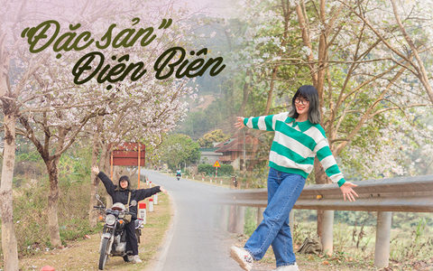 Ngất ngây trước vẻ đẹp Điện Biên mùa hoa ban nở lung linh nhất trong năm