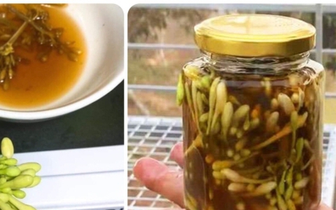 Uống hoa đu đủ đực ngâm mật ong vào lúc nào?