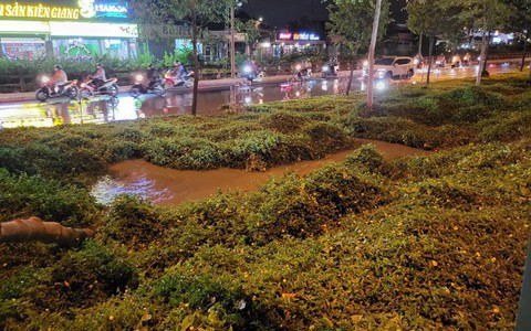 Vỡ đường ống nước, nhiều hộ dân ở TPHCM bị ảnh hưởng