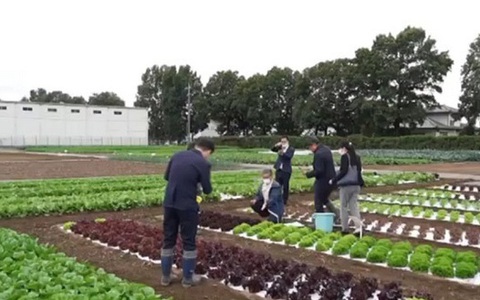 Bí quyết tạo ra các sản phẩm nông nghiệp chất lượng cao ở Nhật Bản