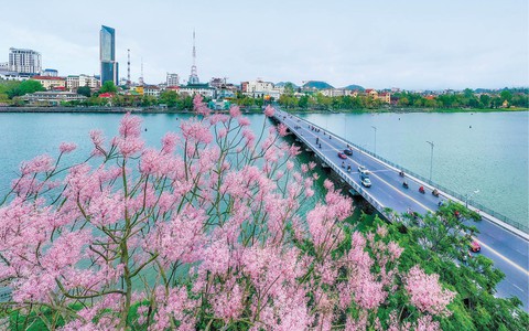 Ghé Huế dịp này để ngắm "vương giả chi hoa", loài hoa Đế Vương được khảm trên Nhân đỉnh trong Đại Nội