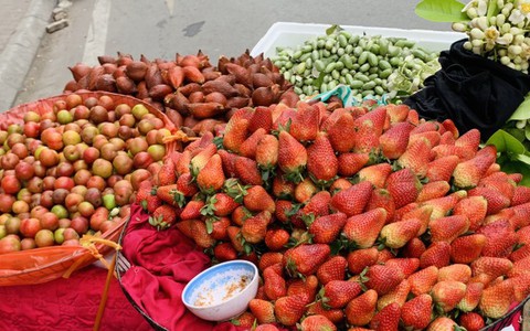Hà Nội: Hoa quả đặc sản tưởng rẻ hóa đắt, loại đắt giá lại rẻ không tưởng