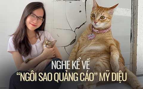 Chủ nhân chú mèo Mỹ Diệu lần đầu xuất hiện "thanh minh" về dáng ngồi bầy hầy của hoàng thượng gây bão khắp mạng xã hội