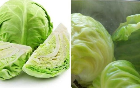 Những người không nên ăn bắp cải