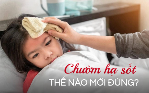 Con sốt là bố mẹ lo chườm hạ nhiệt, bác sĩ lắc đầu chỉ ra hướng giải quyết đúng đắn