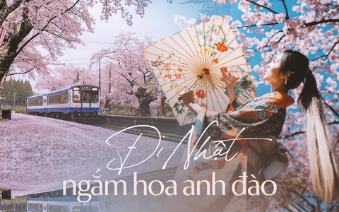 Người Việt sang Nhật du lịch cao kỷ lục để ngắm mùa hoa anh đào, cùng lịch trình tháng 5 nếu chưa sợ muộn