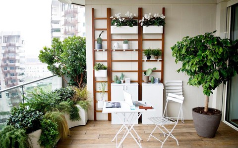 Cách trồng cây cảnh hợp lý cho ban công nhỏ của chung cư