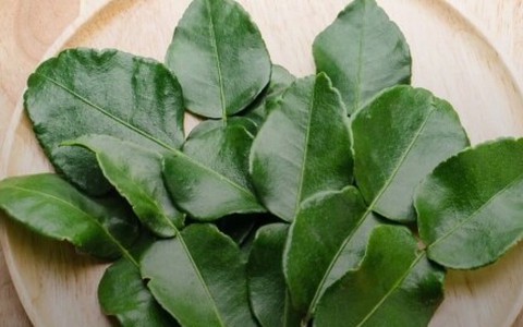 Uống lá chanh có tác dụng gì?