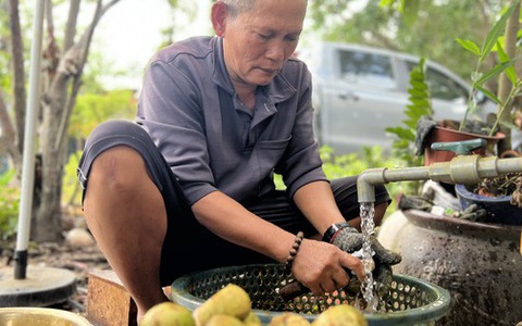 Nhiều người ở Bình Dương trúng đậm nhờ măng cụt gây sốt mạng xã hội