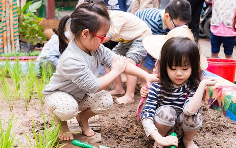 Một ngày đi học vui vẻ của trẻ tại trường mầm non Lá phong xanh