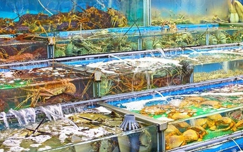 Ốc, tôm, cua, ghẹ đồng loạt đội giá
