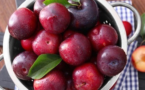 Mận vào mùa ngon khó cưỡng, nhưng những người này nên 'tránh thật xa'