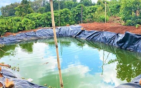 Lao xuống ao cứu cháu, hai bà cháu tử vong