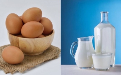 Ăn trứng và uống sữa cùng lúc có sao không?
