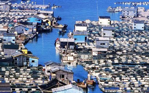 'Ngôi làng trên biển' ở Trung Quốc: Nhà cửa nổi lênh đênh, cuộc sống tiện nghi không thua trên đất liền