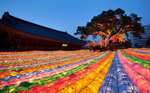Ngôi chùa Jogyesa là điểm đến yên bình và tĩnh lặng giữa Seoul nhộn nhịp