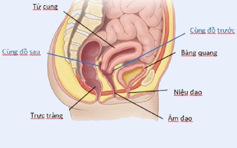 Cô gái chảy máu ổ bụng, tính mạng nguy kịch sau quan hệ tình dục
