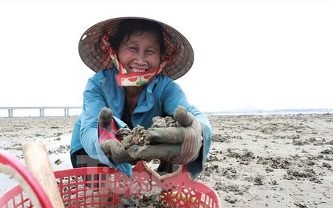 Những phụ nữ vùng biển đội nắng bới cát kiếm thêm thu nhập