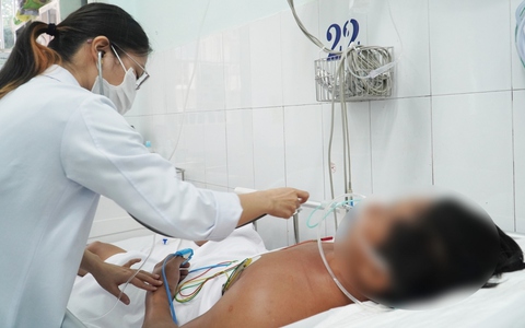 Đi tìm mật ong rừng, người đàn ông bị rắn hổ chúa cắn nguy kịch