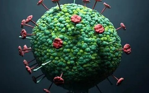 Virus Langya gây viêm phổi: Không lây từ người sang người