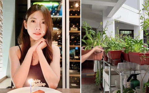 Cô gái biến hành lang chật hẹp thành vườn rau để giải tỏa căng thẳng