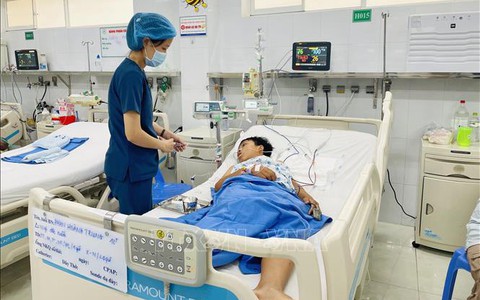 Hai mẹ con nhập viện nghi do ngộ độc nấm mọc trên xác nhộng ve sầu