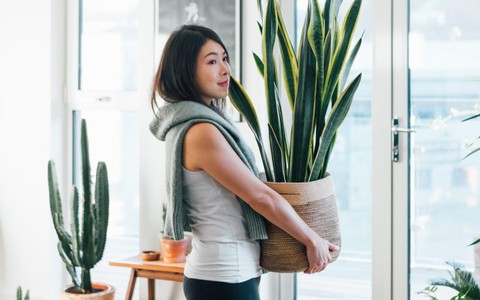 6 ý tưởng giúp khu vườn nhỏ trong nhà bạn luôn là tâm điểm chú ý