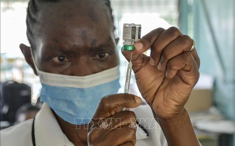 WHO: Vaccine chống sốt rét mới giúp giảm tỷ lệ tử vong