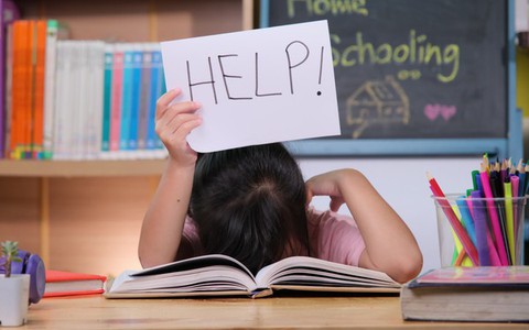 Xôn xao vụ nữ sinh ở TPHCM tố bị “đánh cắp” đề án khoa học, nhà trường nói gì?
