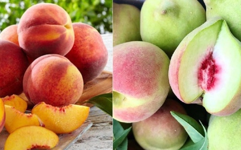 Mua đào nên chọn quả to hay quả nhỏ, đầu nhọn hay đầu tròn?