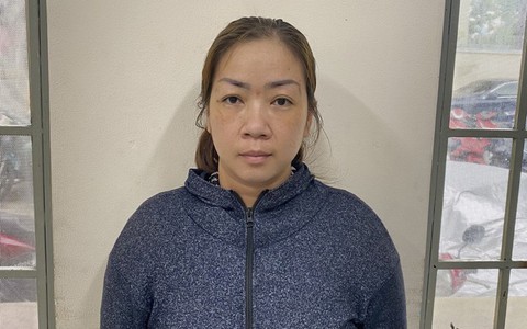 Phá đường dây mua bán trẻ sơ sinh ở TPHCM
